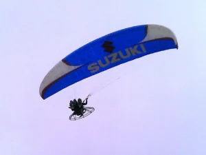 suzuki edited